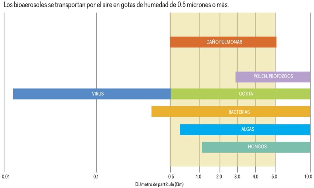 La importancia del filtro de habitáculo para evitar la propagación del  coronavirus » Lubritodo